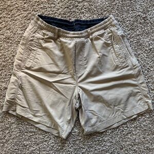 birddogs lined shorts
